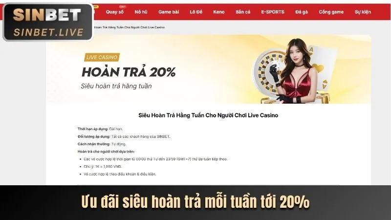 Biểu ngữ hoàn trả hàng tuần